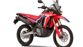 HONDA CRF300 RALLY - 2021